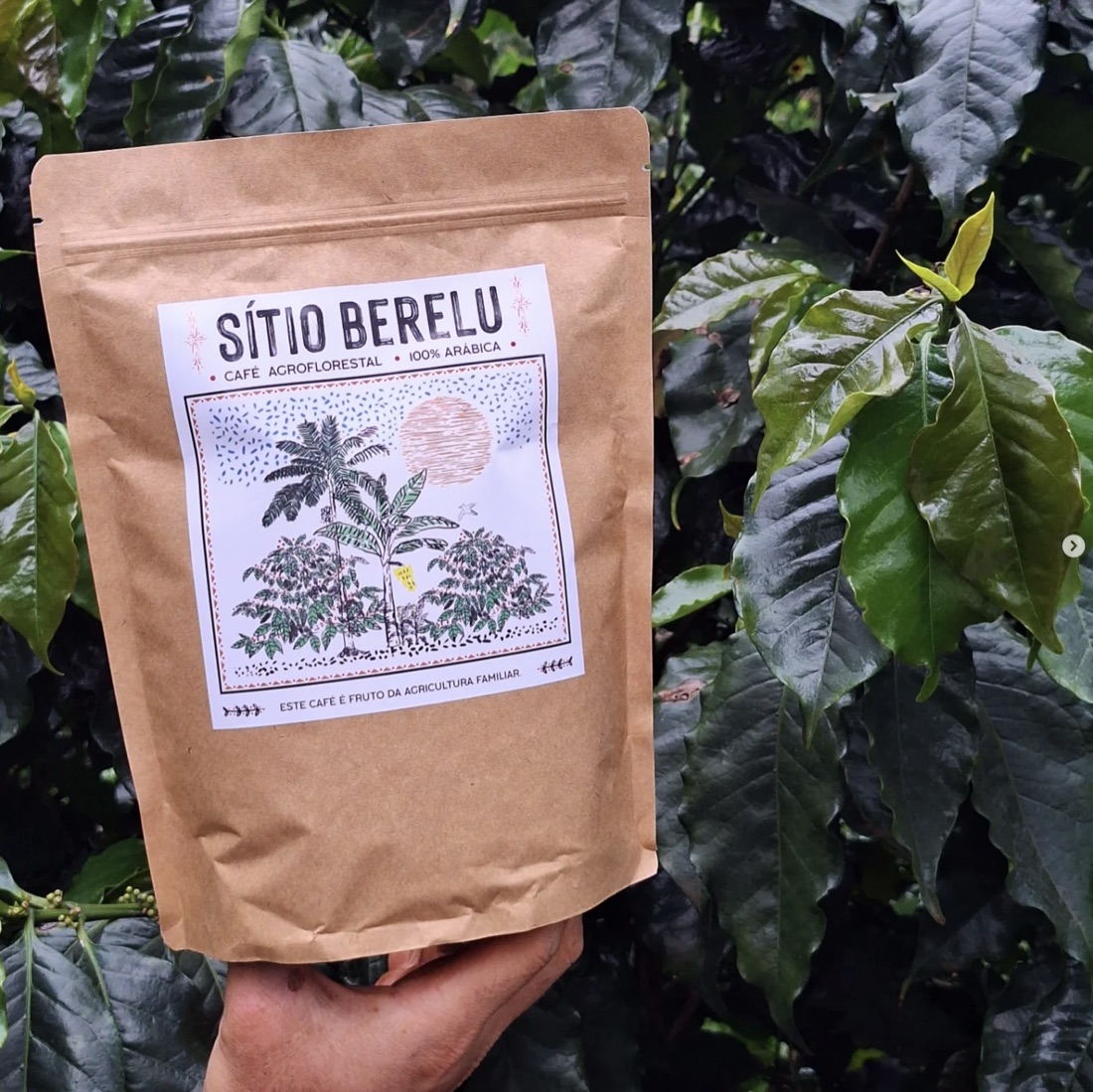Pacote de café agroflorestal do Sítio Berelu, 100% arábica